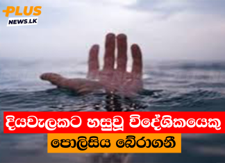 දියවැලකට හසුවූ විදේශිකයෙකු පොලිසිය බේරාගනී