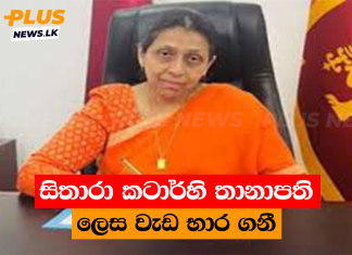 සිතාරා, කටාර්හි තානාපති ලෙස වැඩ භාර ගනී