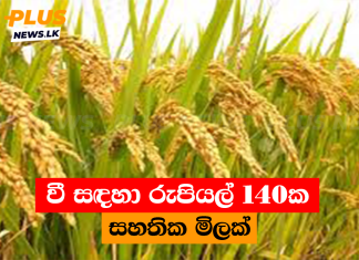 වී සඳහා රුපියල් 140ක සහතික මිලක්