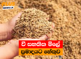 වී සහතික මිලේ ප්රමාදයට හේතුව