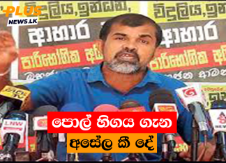 පොල් හිගය ගැන අසේල කී දේ