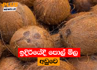 ඉදිරියේදී පොල් මිල අඩුවෙ