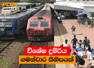 විශේෂ දුම්රිය ගමන්වාර කිහිපයක්
