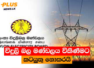 විදුලි බල මණ්ඩලය විකිණීමට කටයුතු නොකරයි