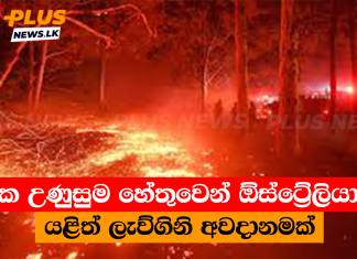 අධික උණුසුම හේතුවෙන් ඕස්ට්රේලියාවට යළිත් ලැව්ගිනි අවදානමක්