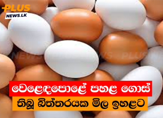වෙළෙඳපොළේ පහළ ගොස් තිබූ බිත්තරයක මිල ඉහළට