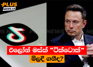 එලෝන් මස්ක් “ටික්ටොක්” මිලදී ගනීද?