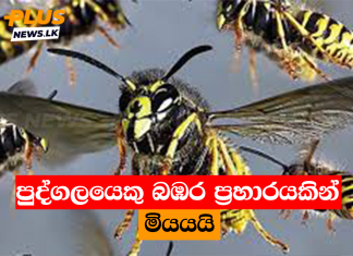 පුද්ගලයෙකු බඹර ප්රහාරයකින් මියයයි