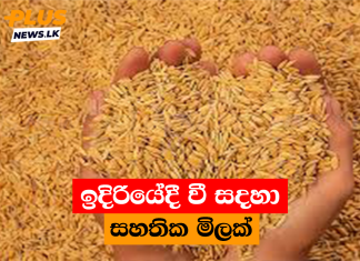 ඉදිරියේදී වී සදහා සහතික මිලක්