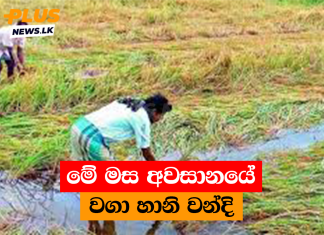 මේ මස අවසානයේ වගා හානි වන්දි