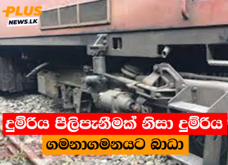 දුම්රිය පීලිපැනීමක් නිසා දුම්රිය ගමනාගමනයට බාධා