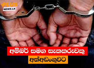 අම්බර් සමග සැකකරුවකු අත්අඩංගුවට