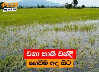 වගා හානි වන්දි ගෙවීම අද සිට