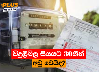 විදුලිබිල සියයට 30කින් අඩු වෙයිද?