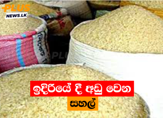 ඉදිරියේ දී අඩු වෙන සහල්