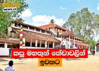 කපු මහතුන් තේවාවලින් ඉවතට