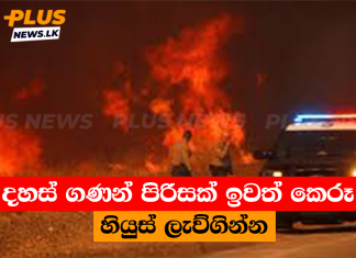 දහස් ගණන් පිරිසක් ඉවත් කෙරූ හියුස් ලැව්ගින්න