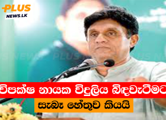 විපක්ෂ නායක විදුලිය බිඳවැටීමට සැබෑ හේතුව කියයි