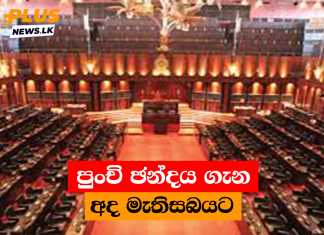 පුංචි ඡන්දය ගැන අද මැතිසබයට