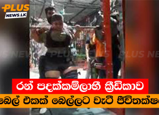 රන් පදක්කම්ලාභී ක්රීඩිකාව බාබෙල් එකක් බෙල්ලට වැටී ජීවිතක්ෂයට