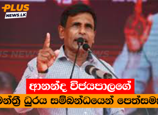 ආනන්ද විජයපාලගේ මන්ත්රී ධුරය සම්බන්ධයෙන් පෙත්සමක්