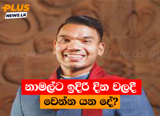 නාමල්ට ඉදිරි දින වලදී වෙන්න යන දේ?