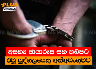 අසභ්ය ඡායාරූප සහ හඩපට එවූ පුද්ගලයෙකු අත්අඩංගුවට