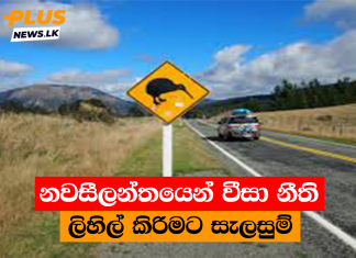 නවසීලන්තයෙන් වීසා නීති ලිහිල් කිරිමට සැලසුම්