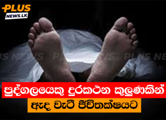පුද්ගලයෙකු දුරකථන කුලුණකින් ඇද වැටී ජීවිතක්ෂයට