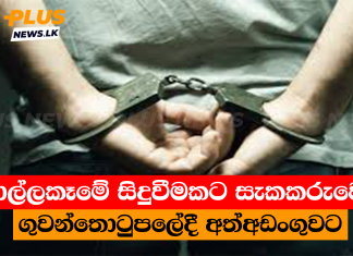 කොල්ලකෑමේ සිදුවීමකට සැකකරුවෙකු ගුවන්තොටුපලේදී අත්අඩංගුවට