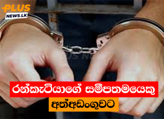 රන්කැටියාගේ සමීපතමයෙකු අත්අඩංගුවට