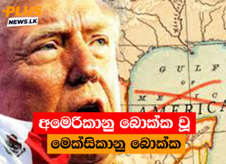 අමෙරිකානු බොක්ක වූ මෙක්සිකානු බොක්ක