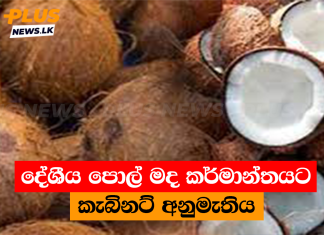 දේශීය පොල් මද කර්මාන්තයට කැබිනට් අනුමැතිය
