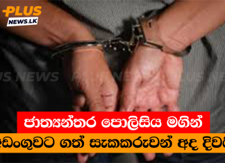 ජාත්යන්තර පොලිසිය මගින් අත්අඩංගුවට ගත් සැකකරුවන් අද දිවයිනට