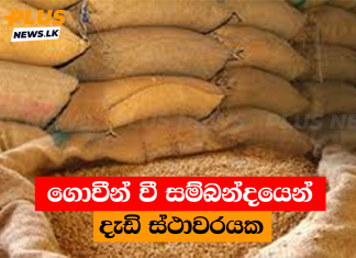 ගොවීන් වී සම්බන්දයෙන් දැඩි ස්ථාවරයක