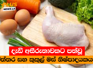 දැඩි අසීරුතාවකට පත්වූ බිත්තර සහ කුකුල් මස් නිෂ්පාදයකයන්