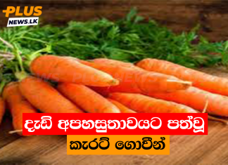දැඩි අපහසුතාවයට පත්වූ කැරට් ගොවීන්