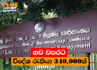 නව වසරට විදේශ රැකියා 340,000ක්