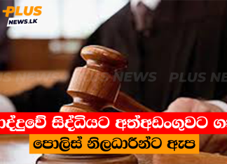 වාද්දුවේ සිද්ධියට අත්අඩංගුවට ගත් පොලිස් නිලධාරීන්ට ඇප