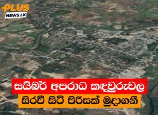 සයිබර් අපරාධ කඳවුරුවල සිරවී සිටි පිරිසක් මුදාගනී