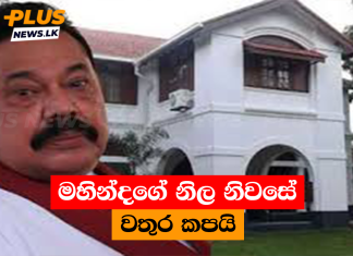 මහින්දගේ නිල නිවසේ වතුර කපයි