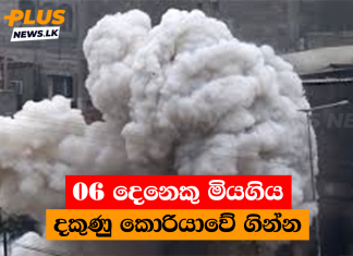 06 දෙනෙකු මියගිය දකුණු කොරියාවේ ගින්න