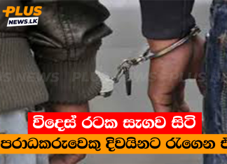 විදෙස් රටක සැගව සිටි අපරාධකරුවෙකු දිවයිනට රැගෙන එයි