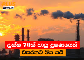 ලක්ෂ 70ක් වායු දූෂණයෙන් වසරකට මිය යයි
