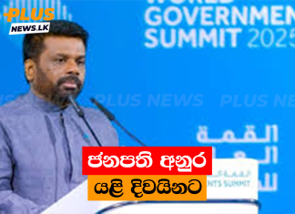 ජනපති අනුර යළි දිවයිනට