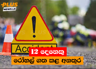12 දෙනෙකු රෝහල් ගත කළ අනතුර