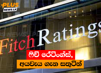 ෆිච් රේටිංග්ස්, අයවැය ගැන සතුටින්