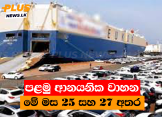 පළමු ආනයනික වාහන මේ මස 25 සහ 27 අතර
