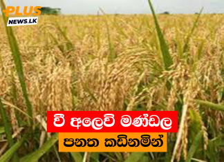 වී අලෙවි මණ්ඩල පනත කඩිනමින්