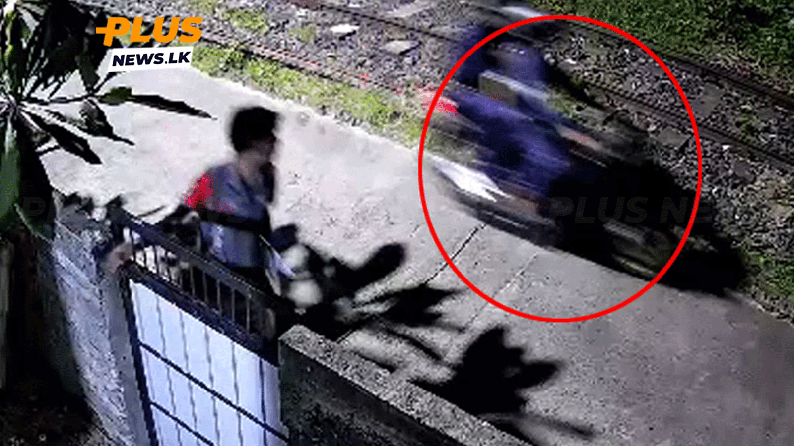 බොරැල්ලේ වෙඩික්කරුවන්